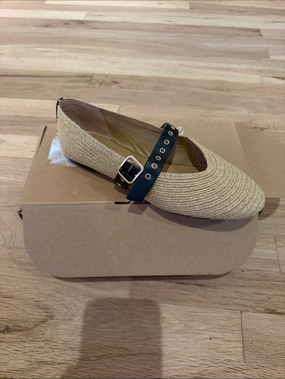 NWB Madewell Remy Mary Jane Flat 8